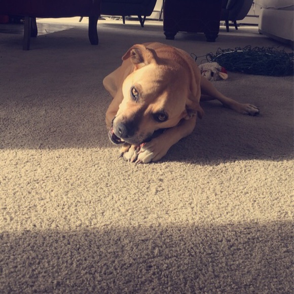 Meet your Posher, Tati - Picture 7 of 10